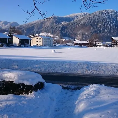 Mit Terrasse Im Alpinen Stil Apartment