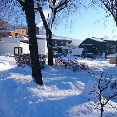 Apartment Mit Terrasse Im Alpinen Stil
